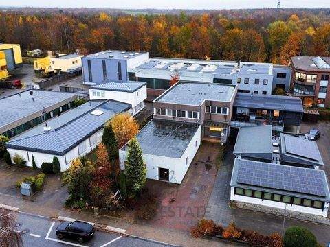 Norderstedt Halle, Norderstedt Hallenfläche