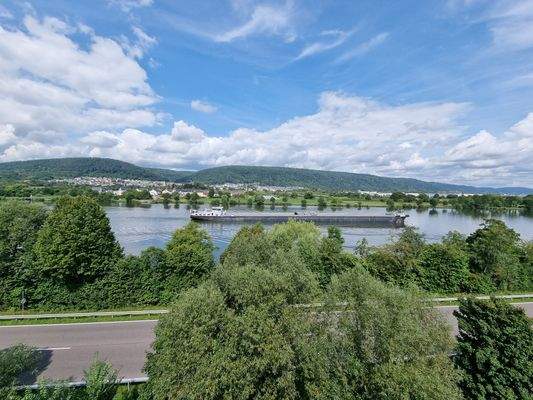 Blick aus dem Fenster -Mosel.jpg