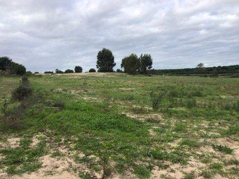 Coruche Grundstücke, Coruche Grundstück kaufen