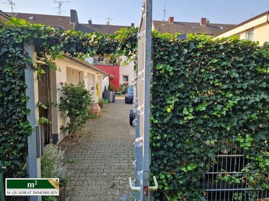 Blick aus dem Garten