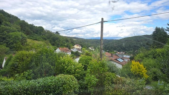 Ausblick 