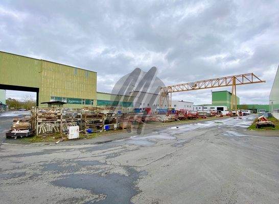 INFOS UNTER: 06171-586000