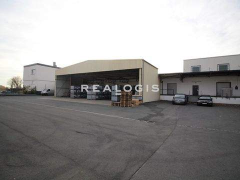 Friedberg Halle, Friedberg Hallenfläche