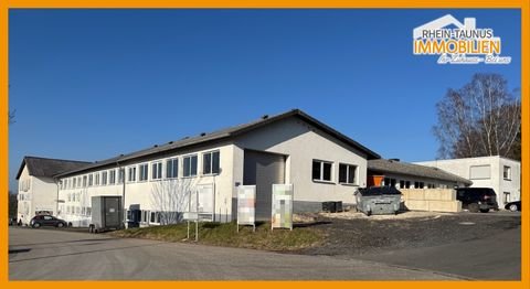 Hillscheid Halle, Hillscheid Hallenfläche