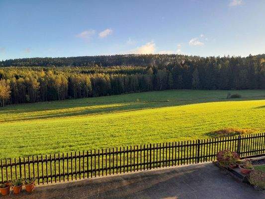 Blick zum Schellenberg