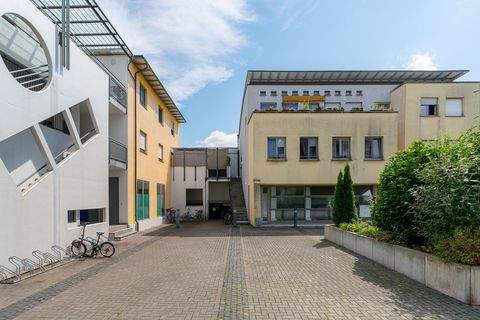 Delitzsch Halle, Delitzsch Hallenfläche