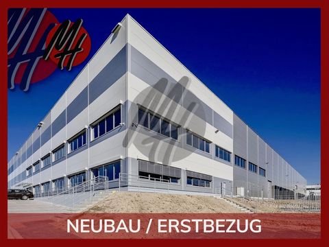 Eschborn Halle, Eschborn Hallenfläche