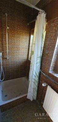 kleines Bad mit Dusche und Waschb.im EG li. Seite