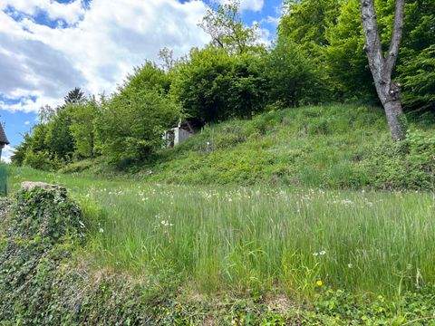 Detmold / Berlebeck Grundstücke, Detmold / Berlebeck Grundstück kaufen