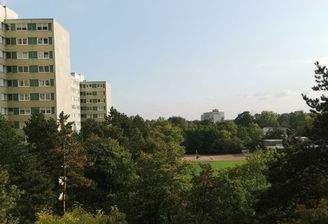 Blick aus dem Fenster in Richtung Edigheim