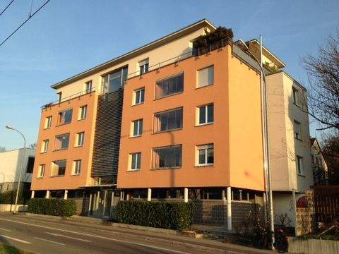 Freiburg im Breisgau Wohnungen, Freiburg im Breisgau Wohnung kaufen