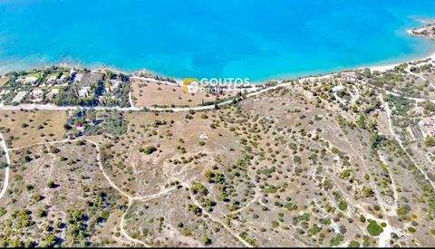 ????? ???????? Grundstücke, ????? ???????? Grundstück kaufen