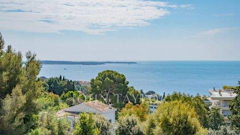 Cannes Wohnungen, Cannes Wohnung kaufen