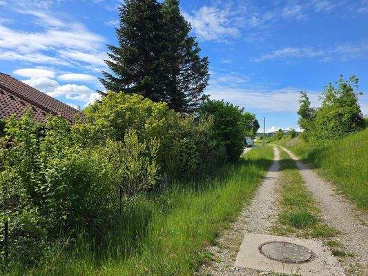 Angrenzender Weg am Damm.jpg