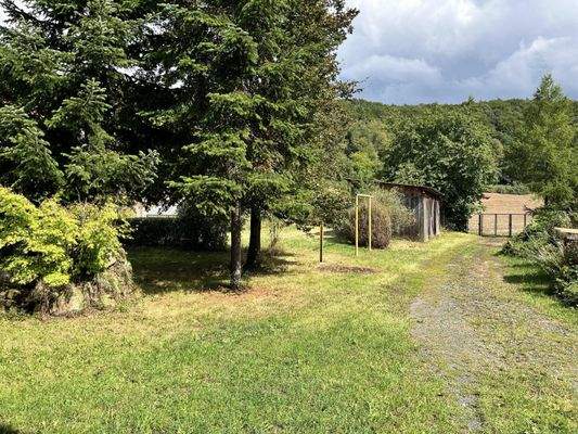 naturnah gelegene Grünfläche auf der Ostseite mit Aufwuchs und Zufahrt