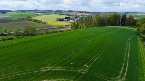 Eching Bauernhöfe, Landwirtschaft, Eching Forstwirtschaft