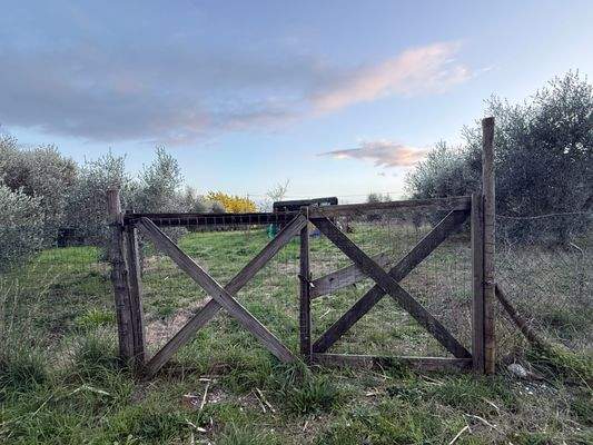 Grundstück-Follonica-4001-03