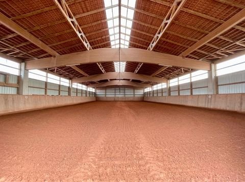 Höchstadt a.d.Aisch Bauernhöfe, Landwirtschaft, Höchstadt a.d.Aisch Forstwirtschaft