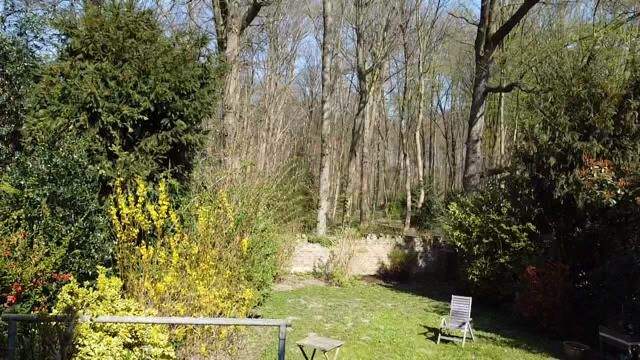 Bild19