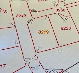 Wachenheim an der Weinstraße Grundstücke, Wachenheim an der Weinstraße Grundstück kaufen