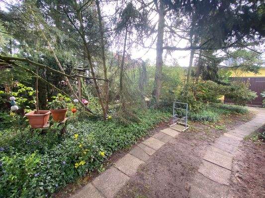 25-04-23 09-12-52 0088.jpg