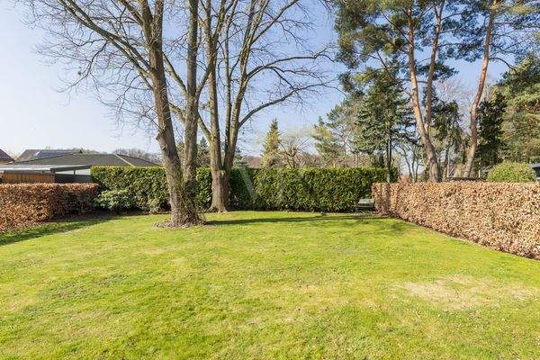 Blick von der Terrasse in den Garten