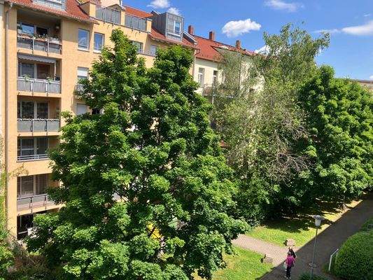 PHOTO-2025-05-26-17-06-42 (1).jpg