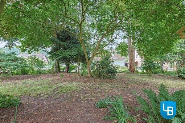 Großer Garten mit altem Baumbestand 