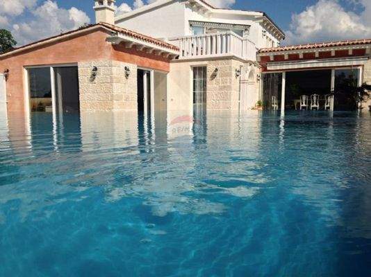 1619688410_d9d4f685-8b96-4a09-a3fb-676953f6bcea