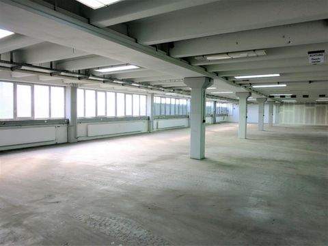 Esslingen am Neckar Halle, Esslingen am Neckar Hallenfläche