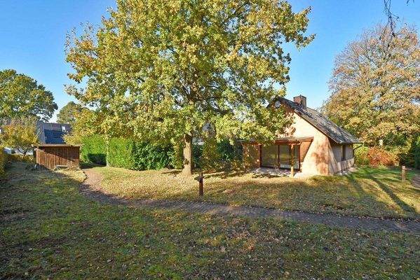 weitläufige Rasenfläche