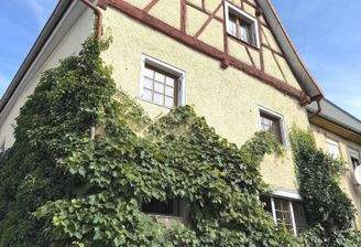 Historisches Stadthaus