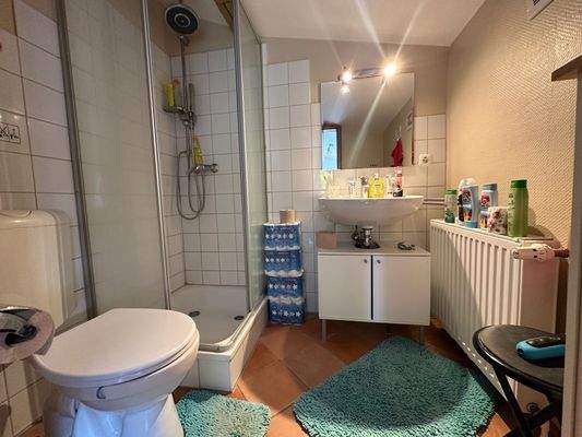 Duschbad - 3 Zimmerwohnung