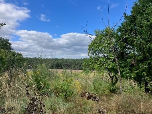 Gartenblick