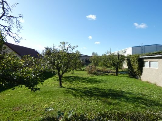 007-Garten.JPG