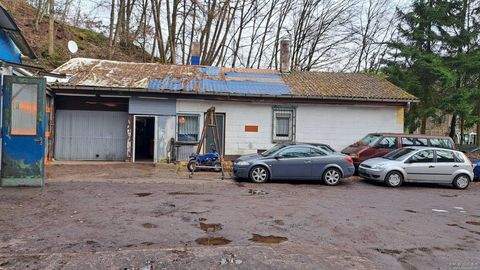 Fischbach Halle, Fischbach Hallenfläche