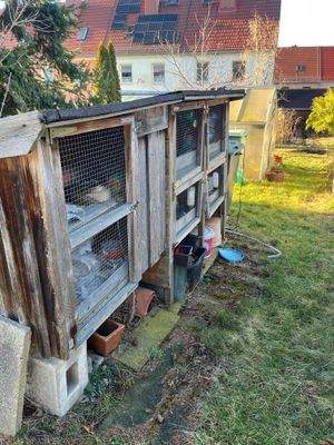 Kaninchenställe.jpeg