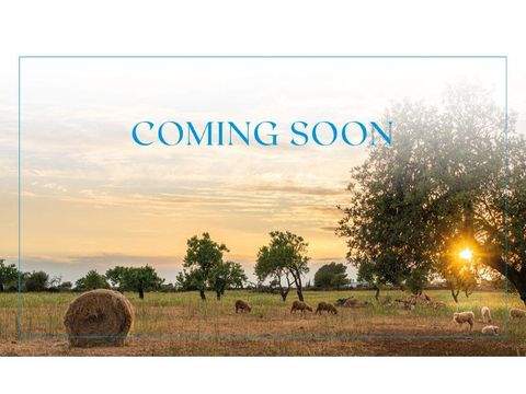 Algaida Grundstücke, Algaida Grundstück kaufen