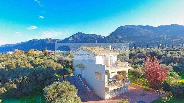 55574f41a3954ec8ab4fd66b2c456d14-original