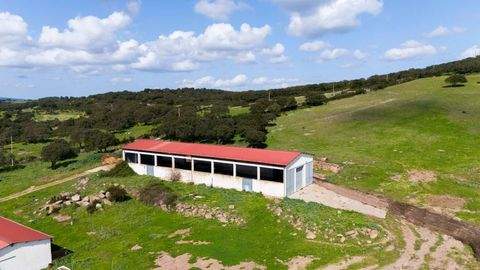 Alghero Häuser, Alghero Haus kaufen