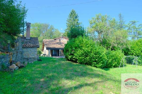 Rif 1369(Copy224).jpg