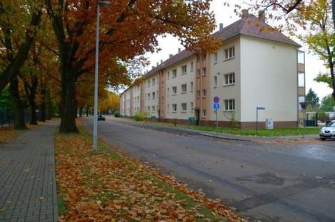 Forst (Lausitz) Wohnungen, Forst (Lausitz) Wohnung mieten