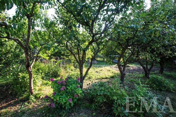 Obstgarten