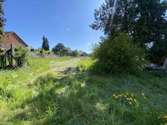 Traumhaftes Wiesengrün