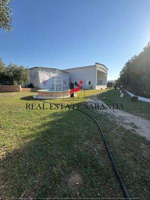 WhatsApp Image 2025-08-27 at 18.00.22.jpeg