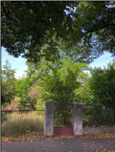 Screenshot 2025-02-08 213755.png