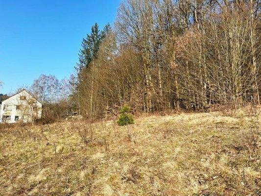 .. in Alleinlage, ohne direkten Nachbarn !