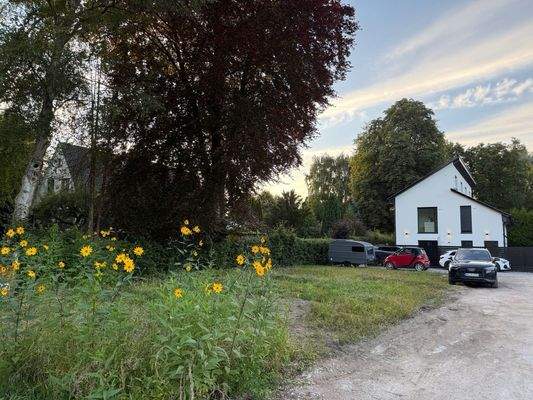 Ansicht Grundstück von Straße aus