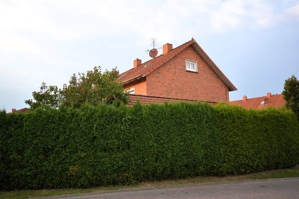 Seitenansicht Sichtschutzhecke