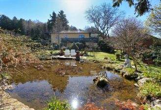 Außenansicht Haus Gartenteich